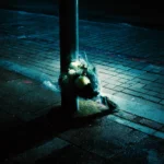 poizi artık sen yoksun